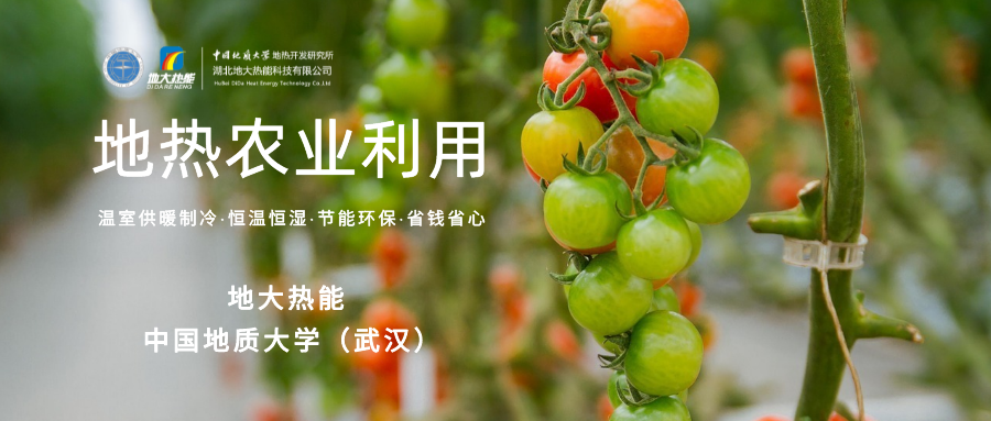 利用地熱解決糧食生產(chǎn)問題并促進發(fā)展-地熱資源開發(fā)利用-地大熱能 利用地熱解決糧食生產(chǎn)問題并促進發(fā)展-地熱資源開發(fā)利用-地大熱能